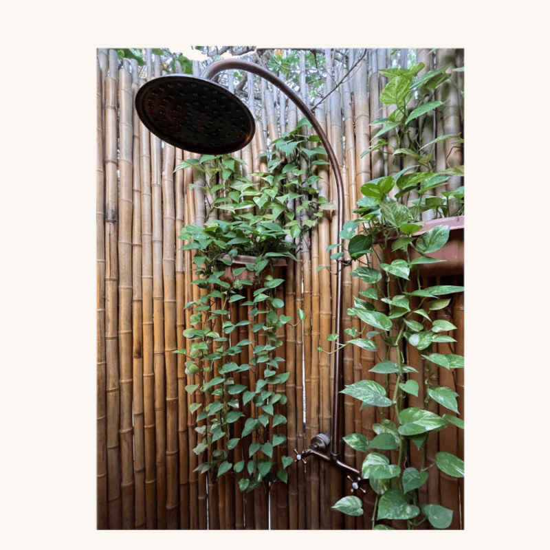 DUCHA EXTERIOR CON MEZCLADOR - Image 3